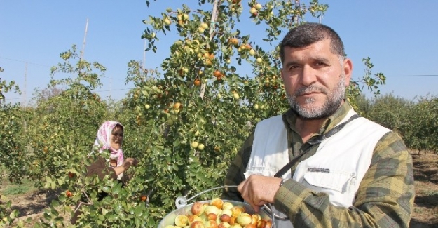 Rüyada gördü, Türkiye’nin en büyüğünü kurdu