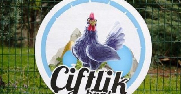 Çiftlik Bank'ın tavukları ve yumurtaları satıldı