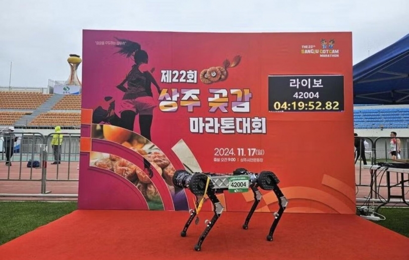 Robot köpek tek şarjda maraton koştu