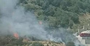İzmir Narlıdere ilçesinde orman yangını
