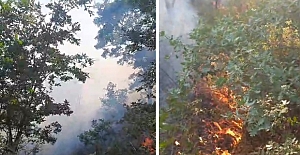 Kaz Dağları’nda orman yangını: Söndürme çalışmaları devam ediyor