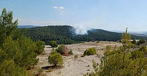 Balıkesir'in iki ayrı ilçesinde orman yangını: Müdahale devam ediyor