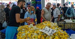 Limon fiyatları neden çok yükseldi?